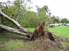 Cairns39 Cyclone Larry